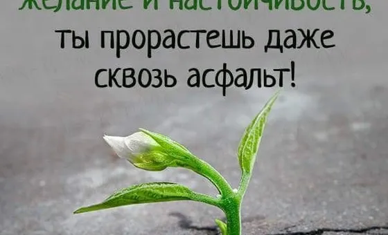11 оправданий, которые мешают вам достигать целей