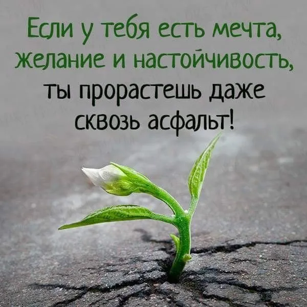 11 оправданий, которые мешают вам достигать целей