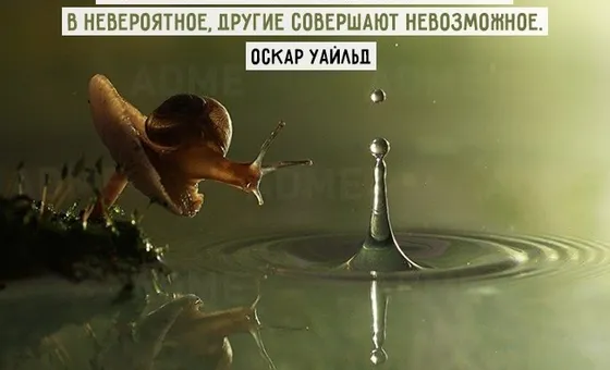 17 вдохновляющих цитат для развития карьеры