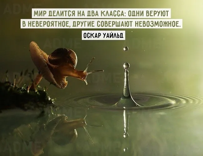 17 вдохновляющих цитат для развития карьеры
