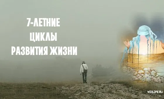 7-летние циклы развития жизни
