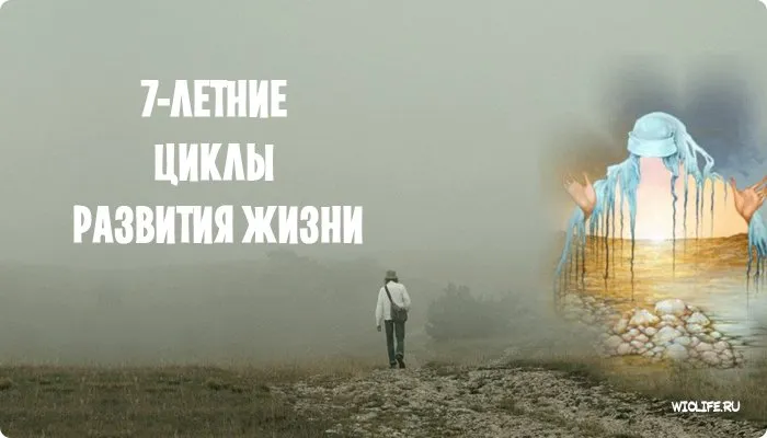 7-летние циклы развития жизни