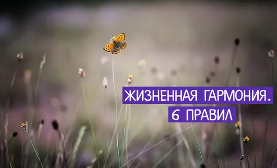 Жизненная гармония. 6 правил