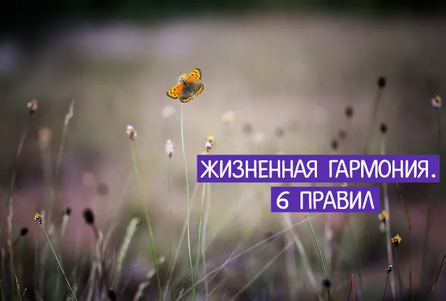 Жизненная гармония. 6 правил